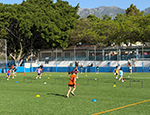 CAI 26